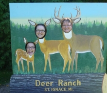Everyone Can be  a Deer