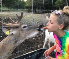 Deer Kiss