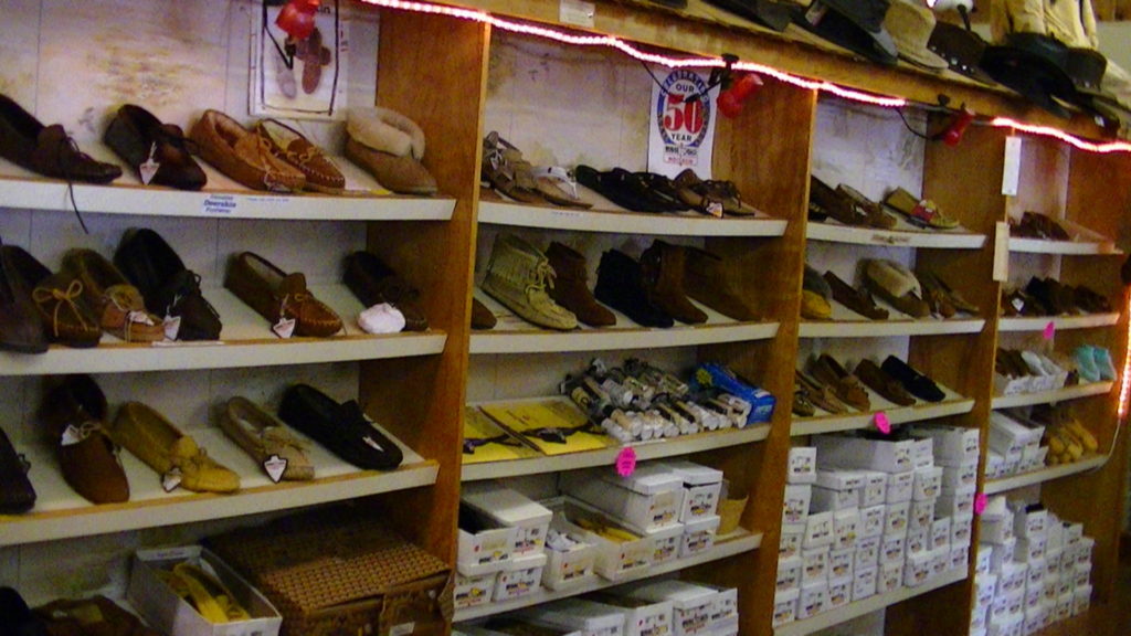 Minnetonka Moccasins for the whole family.jpg Bronco, shedding velvet in August
